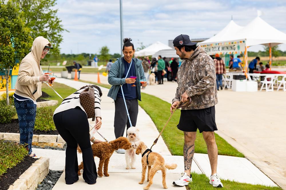 Jubilee - Joy Fest Photo 3