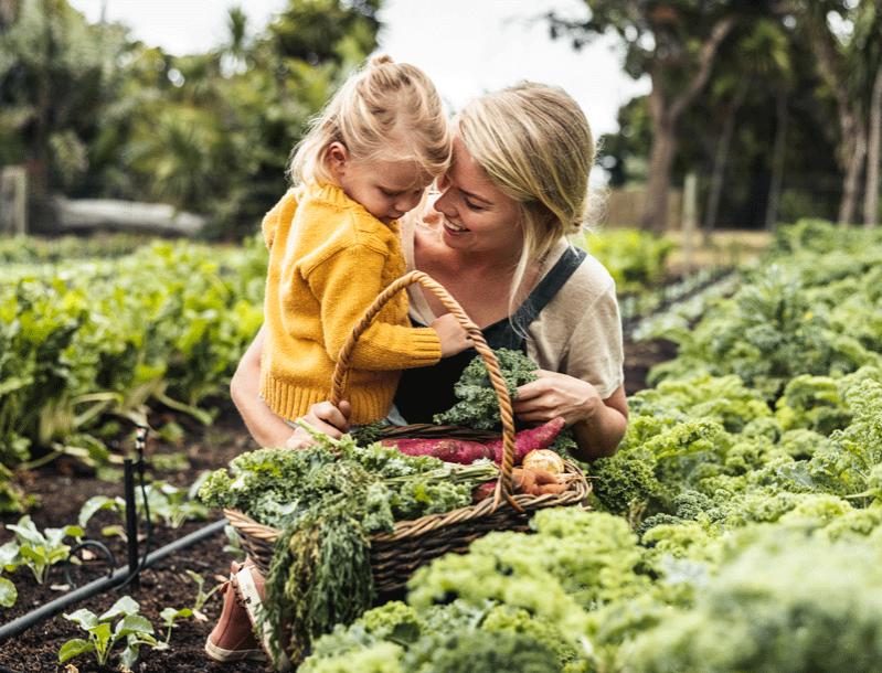 Planting De-Stressors