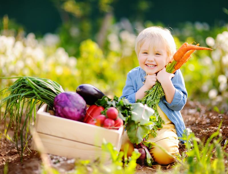 Embrace Farm-to-Table Living