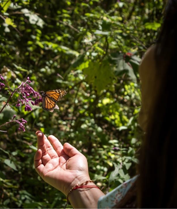 Jubilee residents can explore dedicated spaces are designed for ecotherapy.