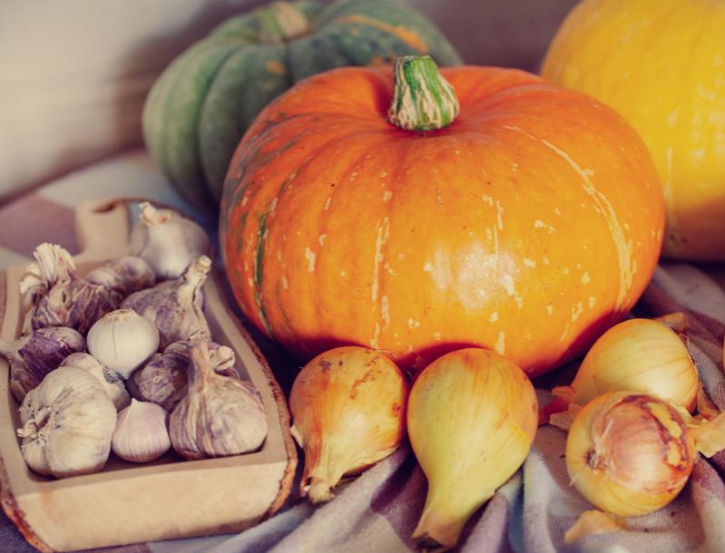 Nurturing Your Well-Being as Seasons Transition from Summer to Fall
