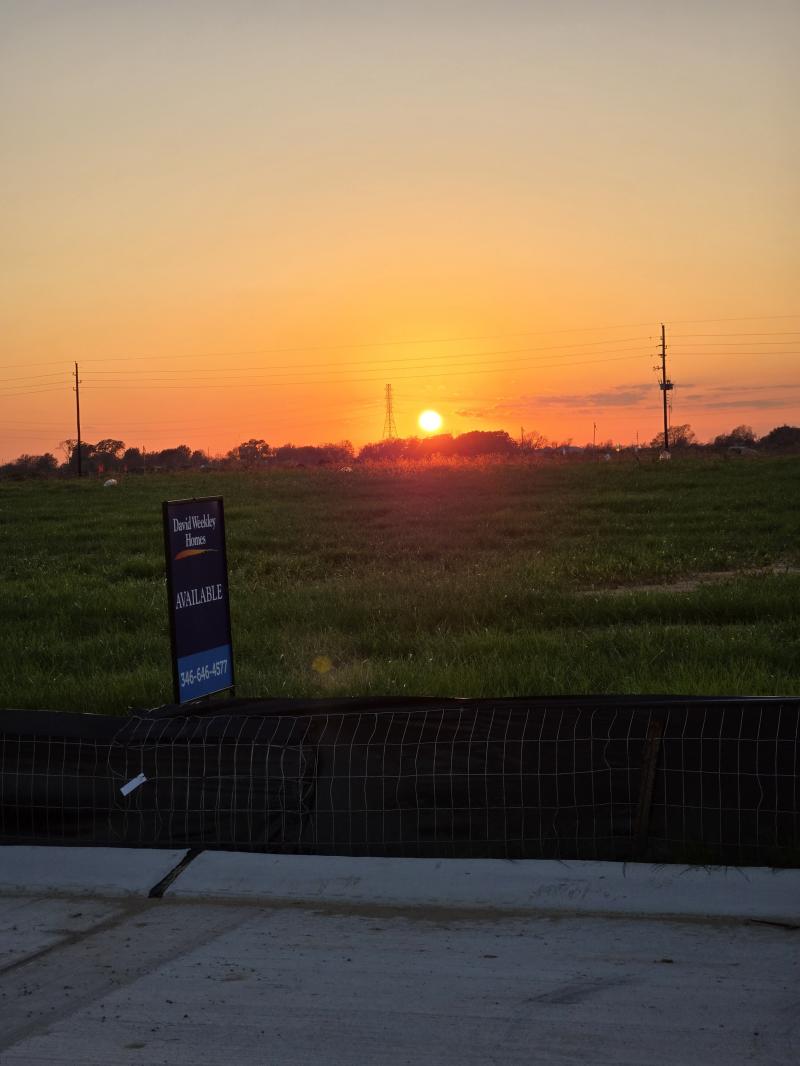 Park Photo by Andrea Marinovic