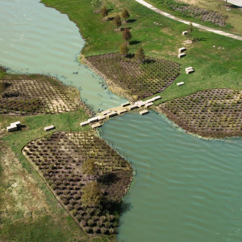 Engage with  the region's rich flora and fauna near Cypress in Jubilee.