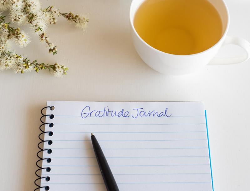 The Power of Gratitude in Your Life